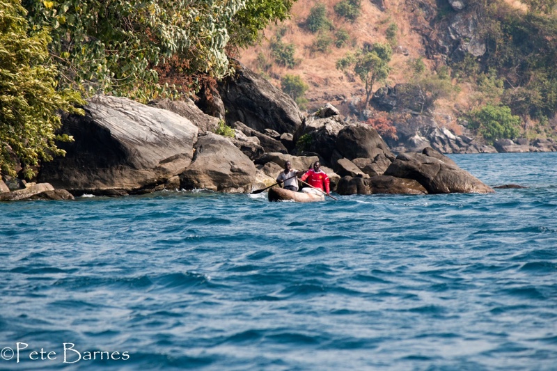 Lion's Cove 18